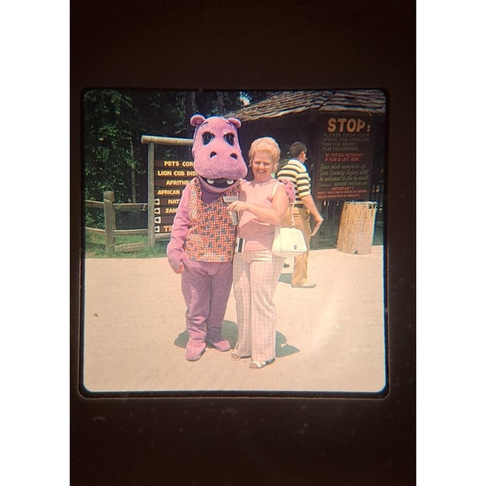 Vintage Family Vacation Slides 31 From 1973-1975 Christmas Lion Country Beach